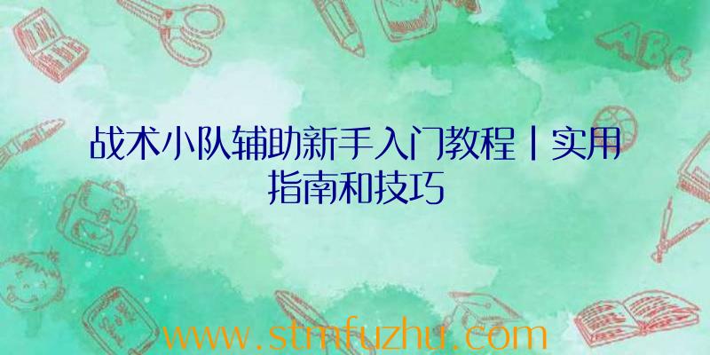 战术小队辅助新手入门教程|实用指南和技巧